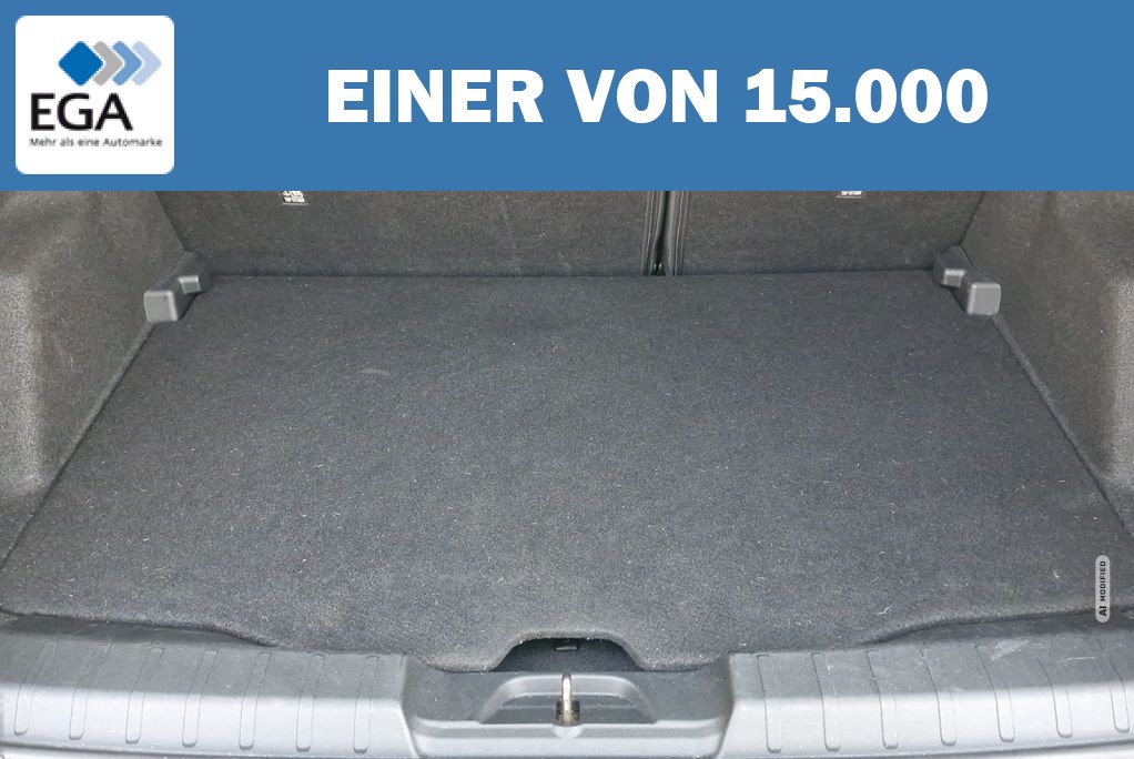 Jeep Avenger 1.2L T3 Altitude LED-Licht Navi SHZ ACC