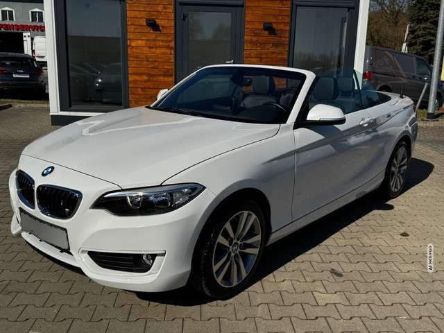 BMW 218 i Cabrio *NAVI*SHZ*LEDER*PDC*ALPIN*GEPFLEGT*