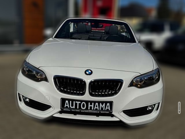 BMW 218 i Cabrio *NAVI*SHZ*LEDER*PDC*ALPIN*GEPFLEGT*