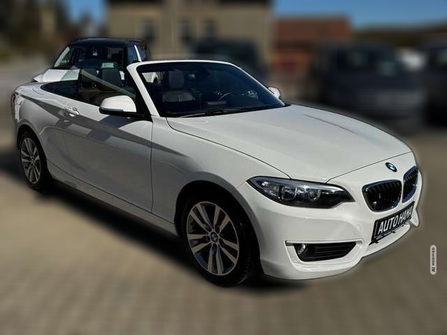 BMW 218 i Cabrio *NAVI*SHZ*LEDER*PDC*ALPIN*GEPFLEGT*