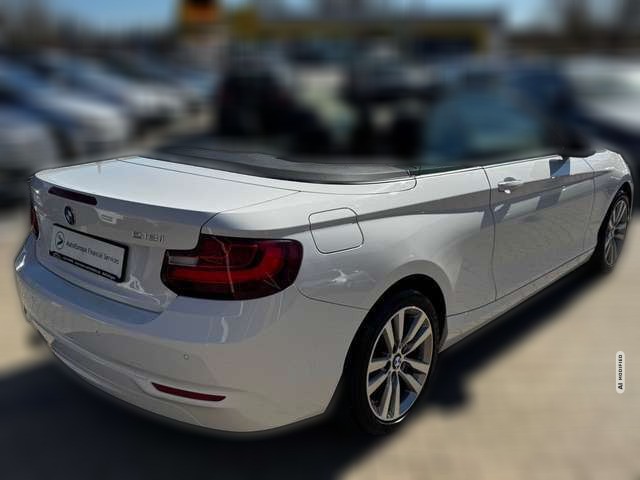 BMW 218 i Cabrio *NAVI*SHZ*LEDER*PDC*ALPIN*GEPFLEGT*