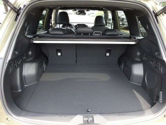 Subaru Forester 2.0 ie Platinum Leder Navi PGSD 360°