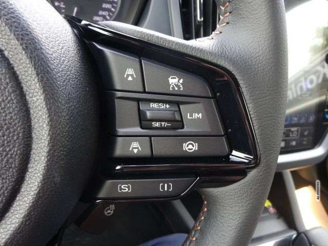 Subaru Forester 2.0 ie Platinum Leder Navi PGSD 360°