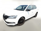 Bild Skoda Fabia 1.0 TSI 110 Monte Carlo SHZ PDC Kam SmartL