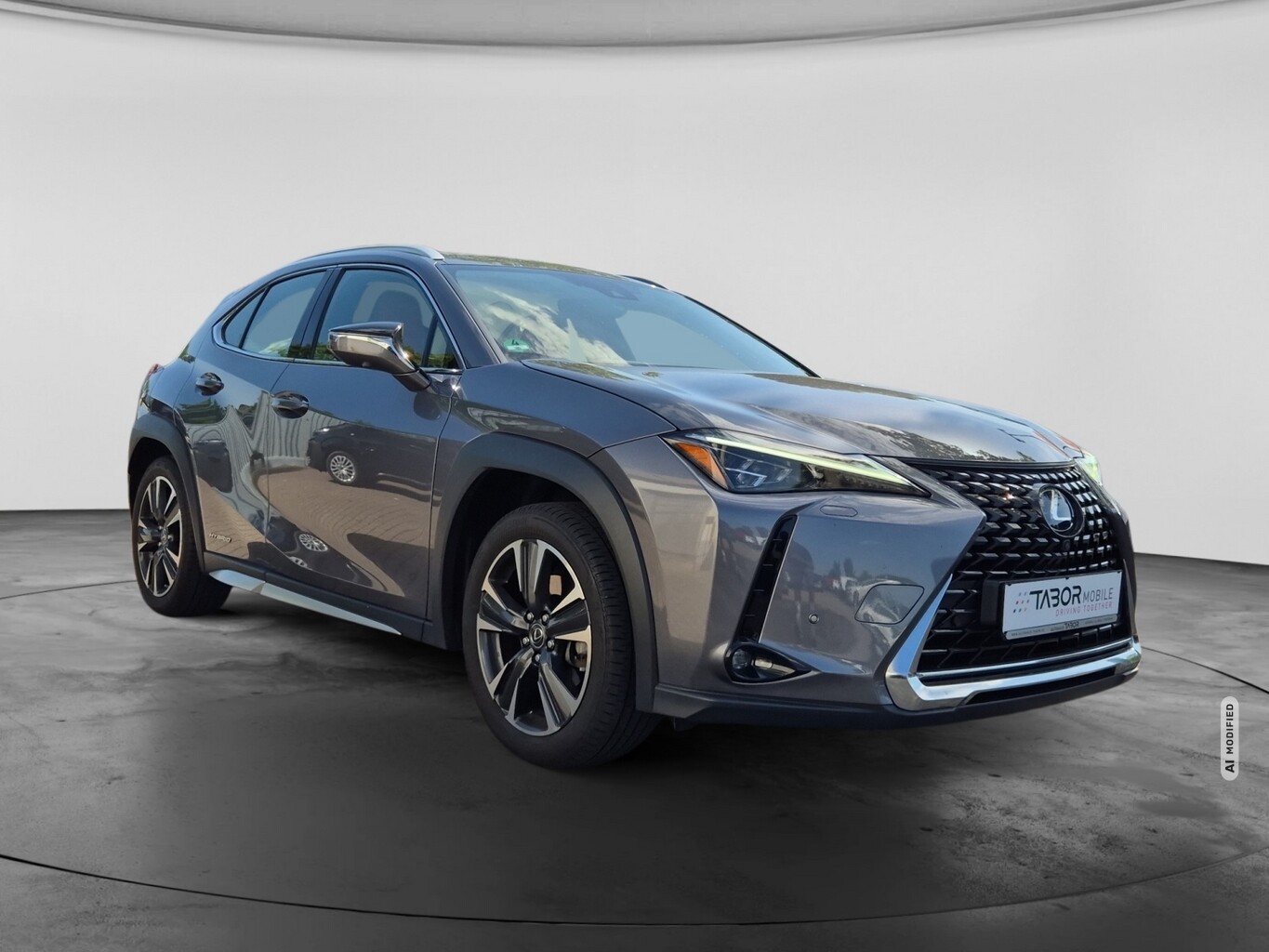 Lexus UX 250h Lury Line Matrix LED Pano Memory Kam