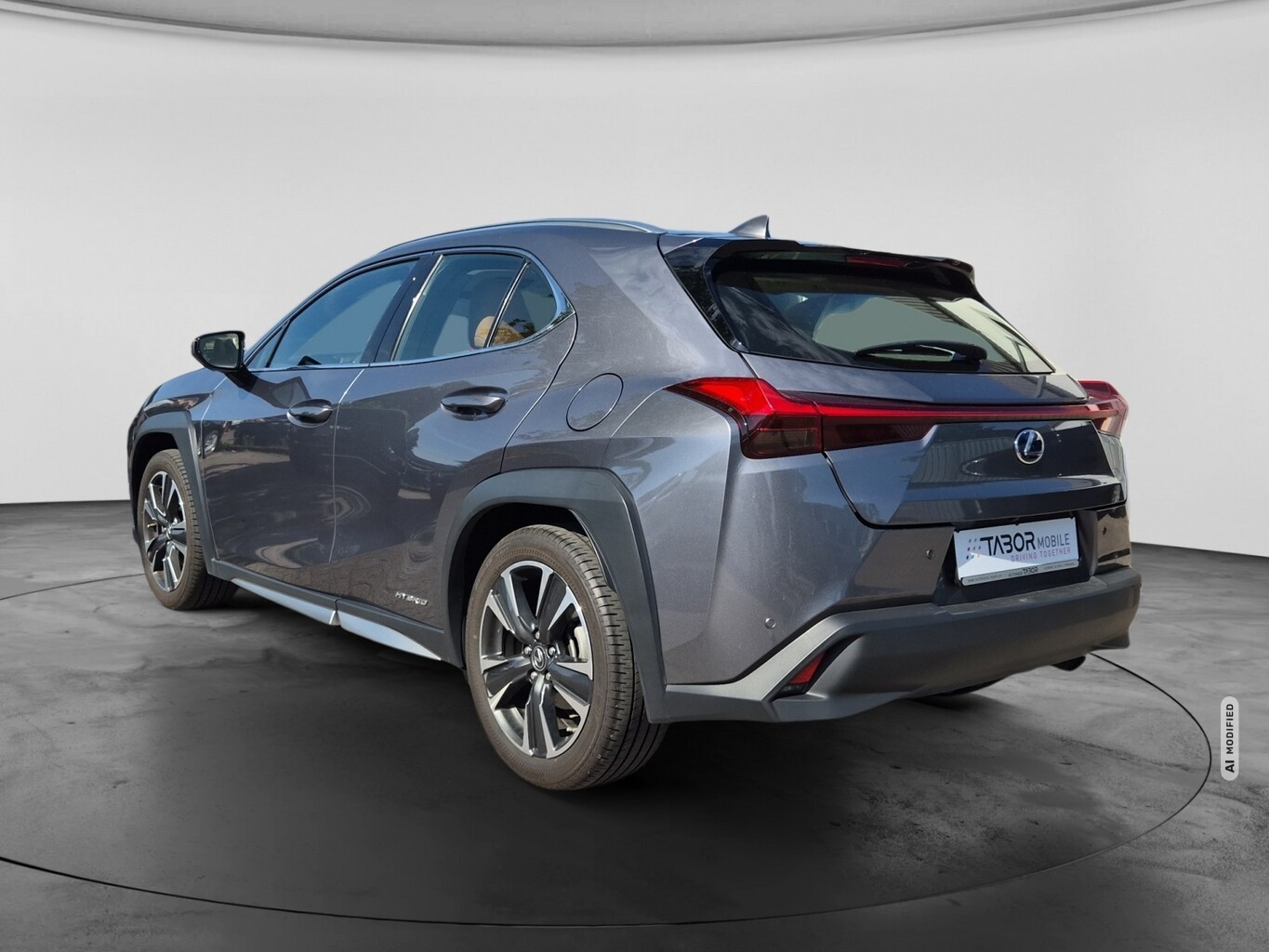 Lexus UX 250h Lury Line Matrix LED Pano Memory Kam