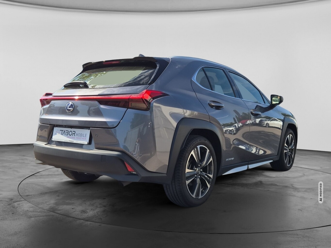 Lexus UX 250h Lury Line Matrix LED Pano Memory Kam
