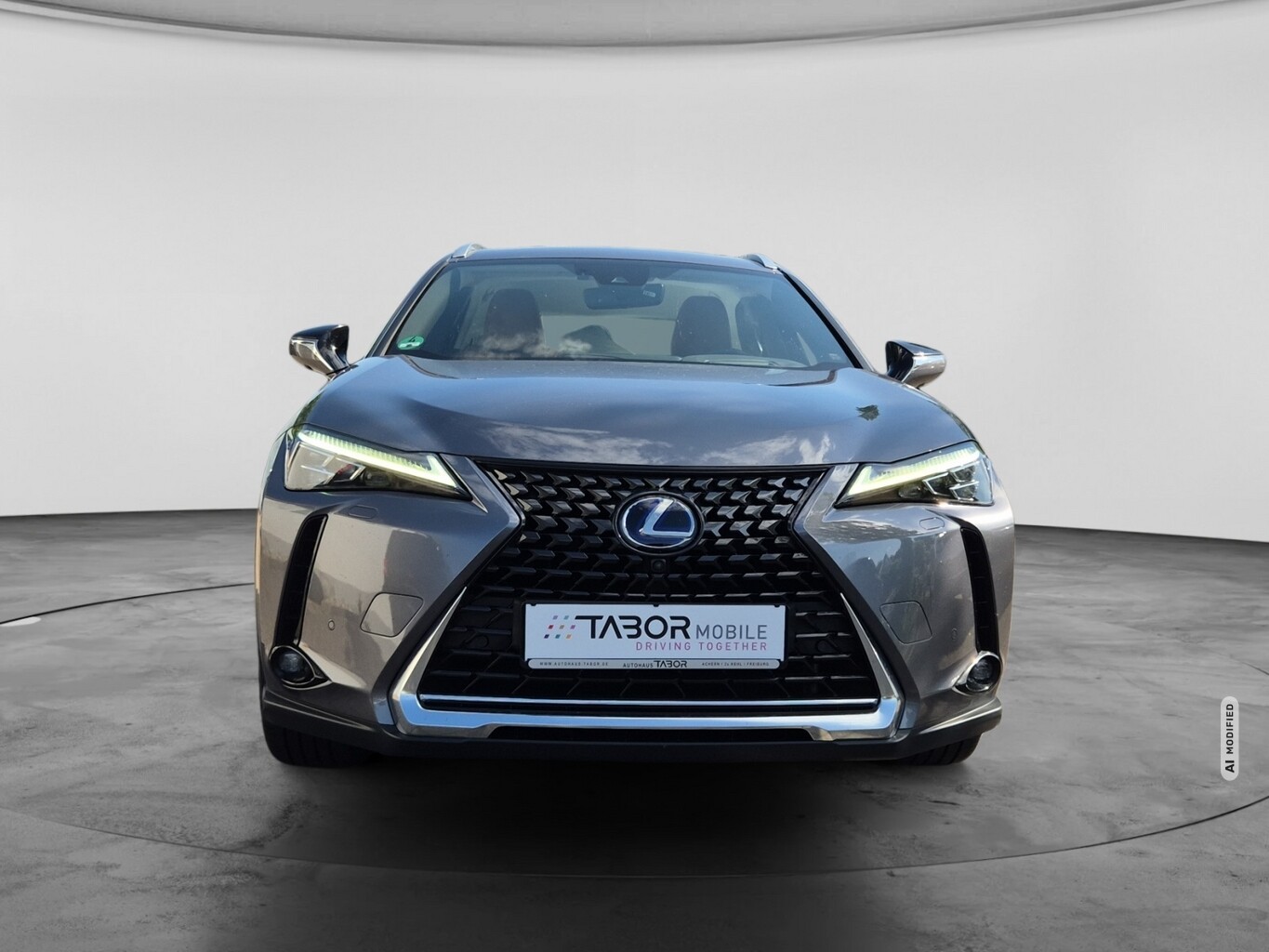 Lexus UX 250h Lury Line Matrix LED Pano Memory Kam
