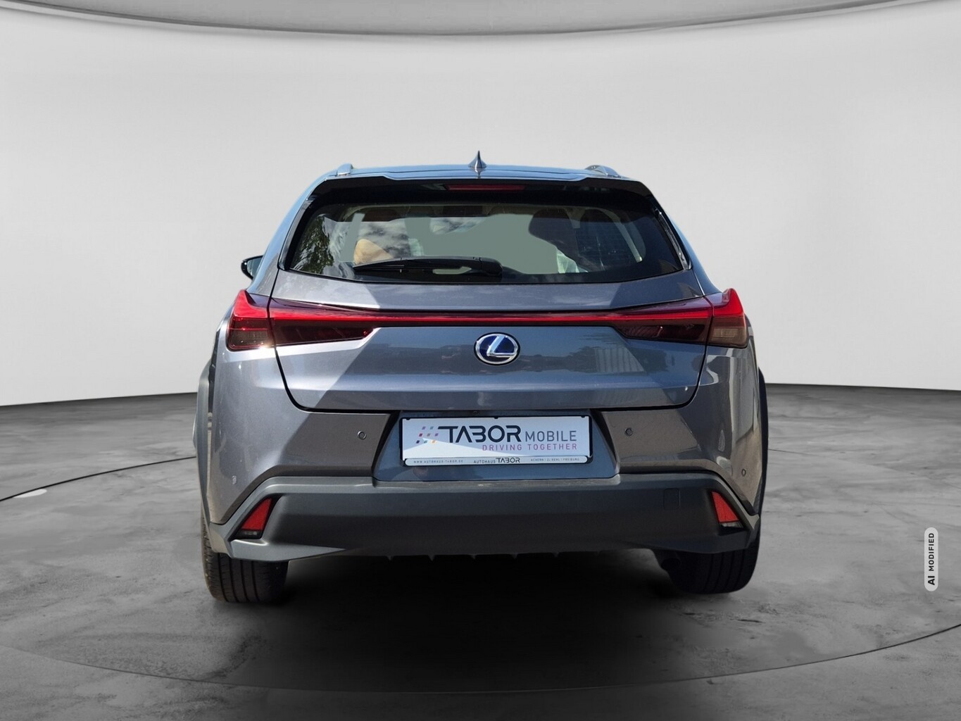 Lexus UX 250h Lury Line Matrix LED Pano Memory Kam