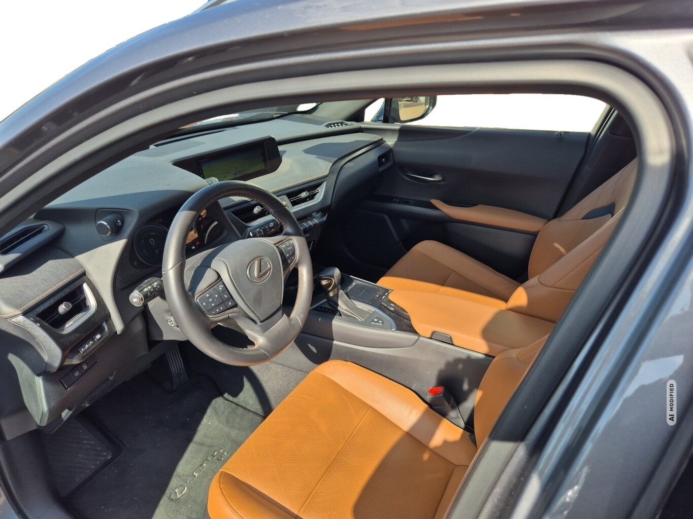 Lexus UX 250h Lury Line Matrix LED Pano Memory Kam