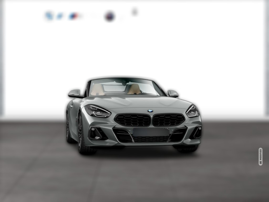 BMW Z4 HEAD-UP H&K HIFI KOMFORTZG. ALU 19