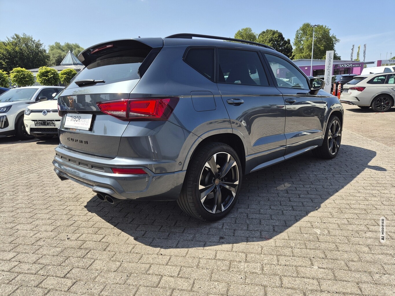 Cupra Ateca 2.0 TSI 300 DSG 4Dr. LED Nav ACC AHK Beats