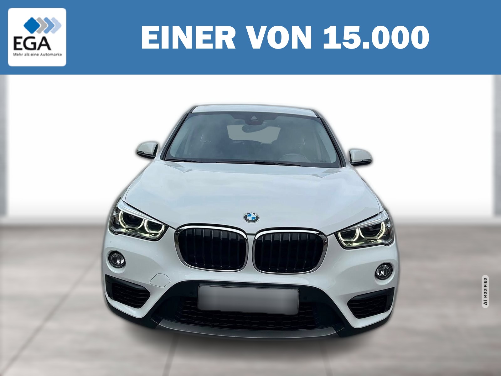 BMW X1 Advantage Sport HiFi LED Navi Active Guard