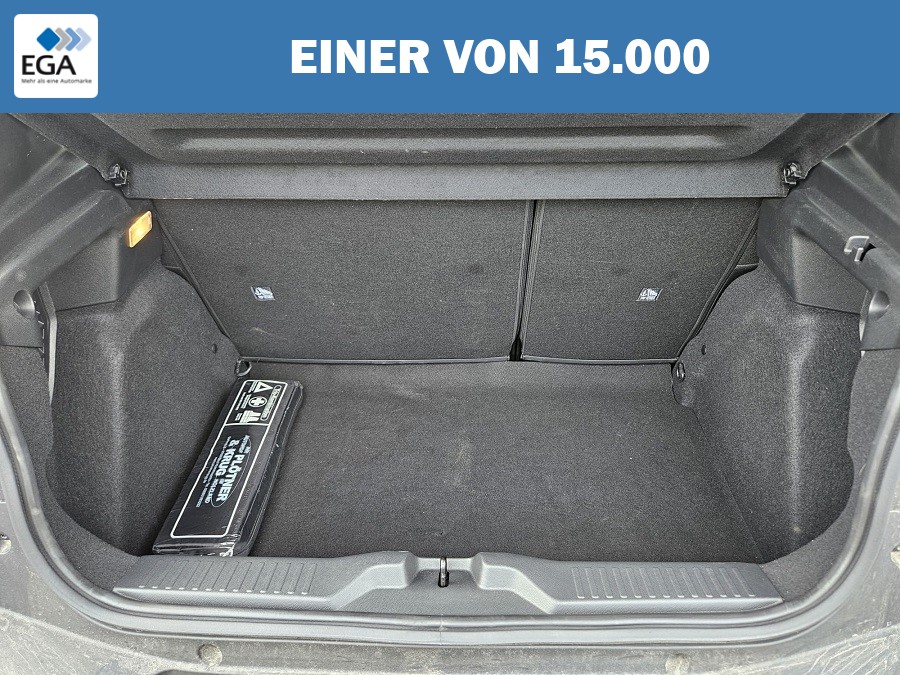 Citroën C3 Turbo 100 MAX Techno-Paket Winterpaket Infotainment-Paket