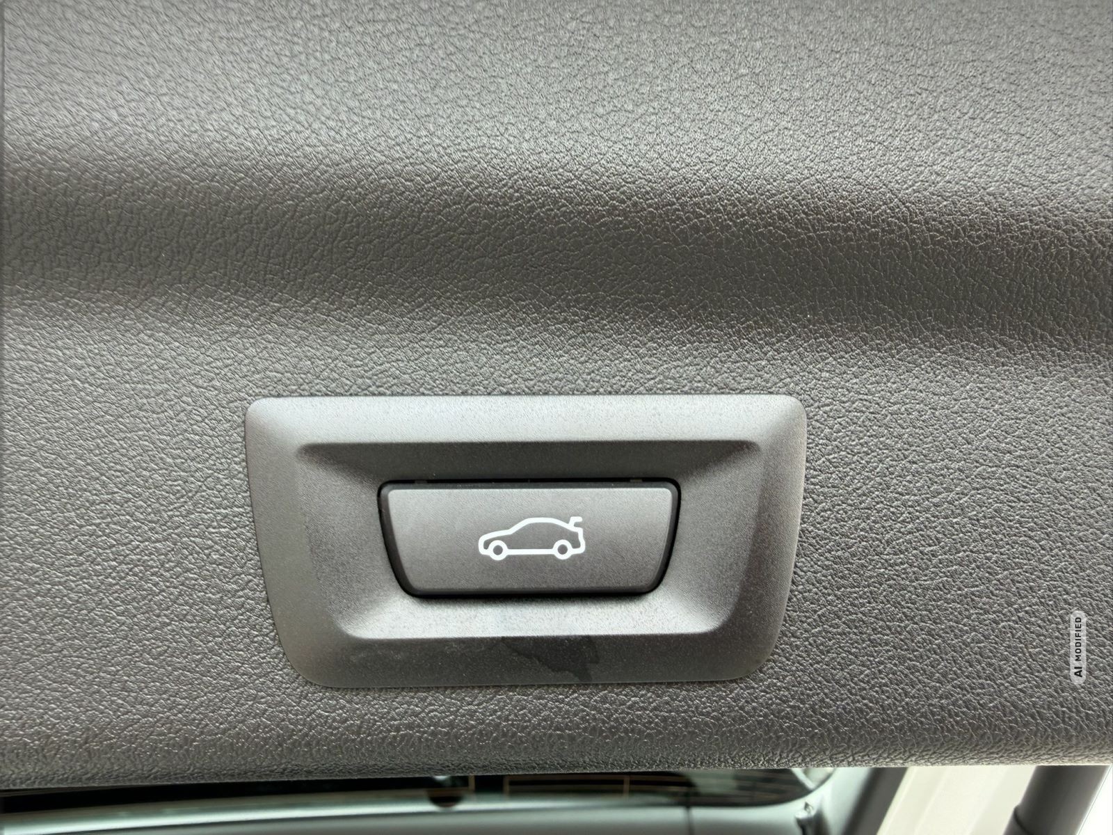 BMW iX1 LED LiveCockpt HiFi Parkassistenzsys ActiveGuard SHZ