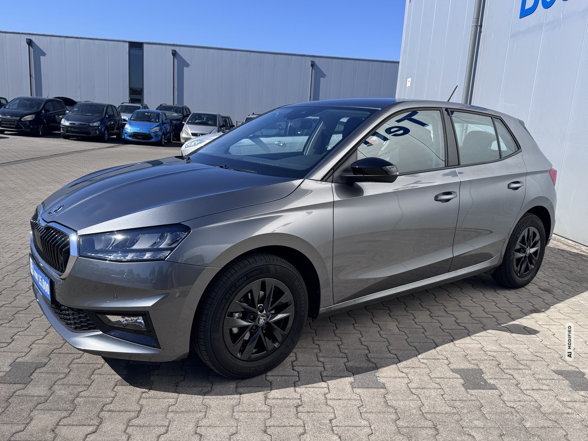 Skoda Fabia 1.0 TSI Selection*Kamera*SHZ*