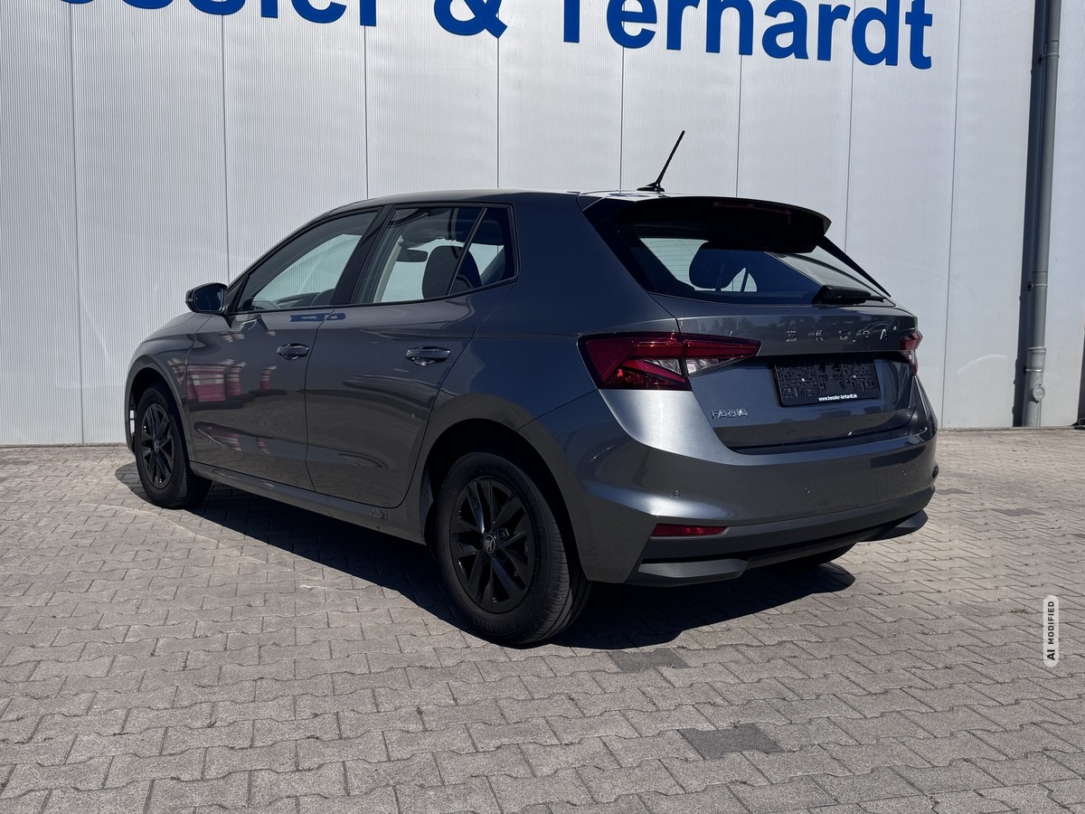 Skoda Fabia 1.0 TSI Selection*Kamera*SHZ*