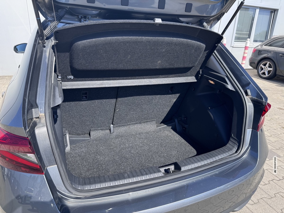 Skoda Fabia 1.0 TSI Selection*Kamera*SHZ*