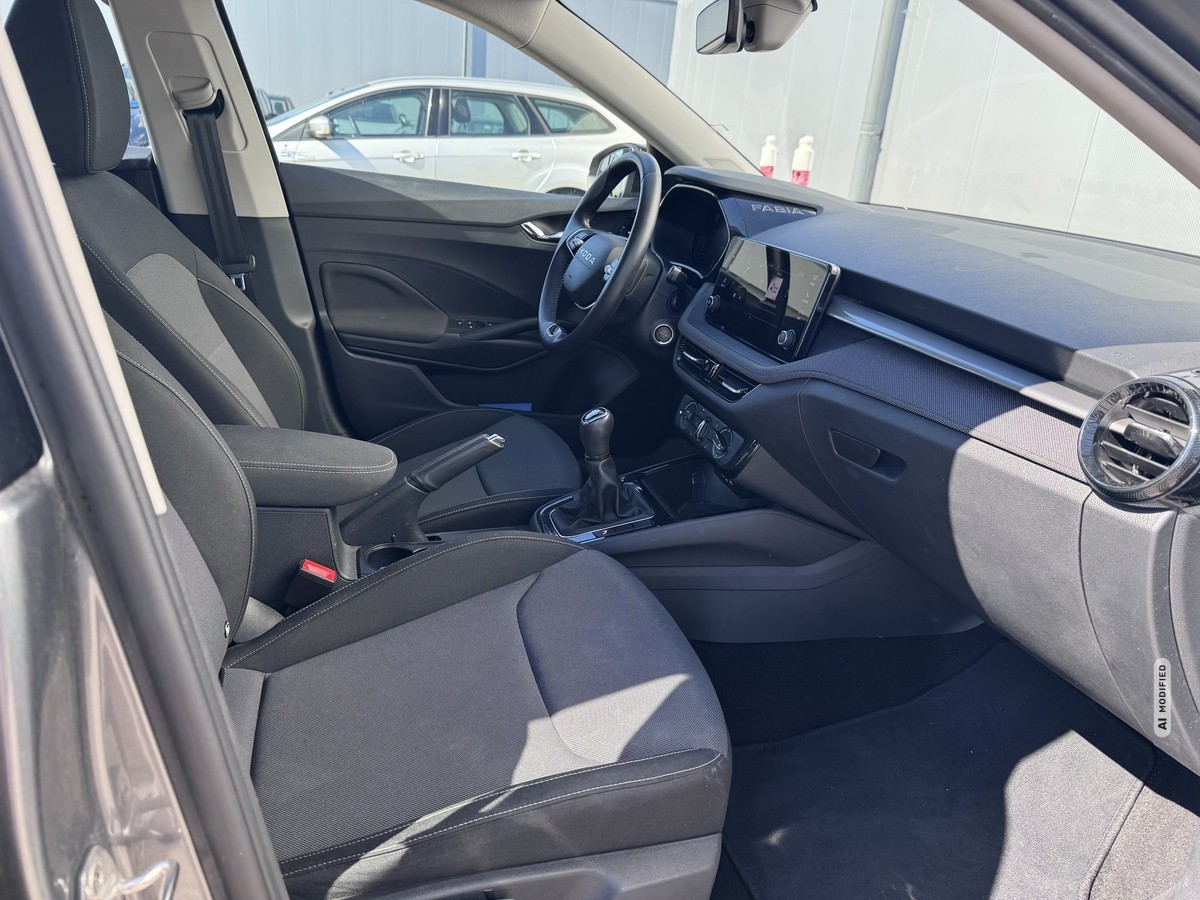 Skoda Fabia 1.0 TSI Selection*Kamera*SHZ*