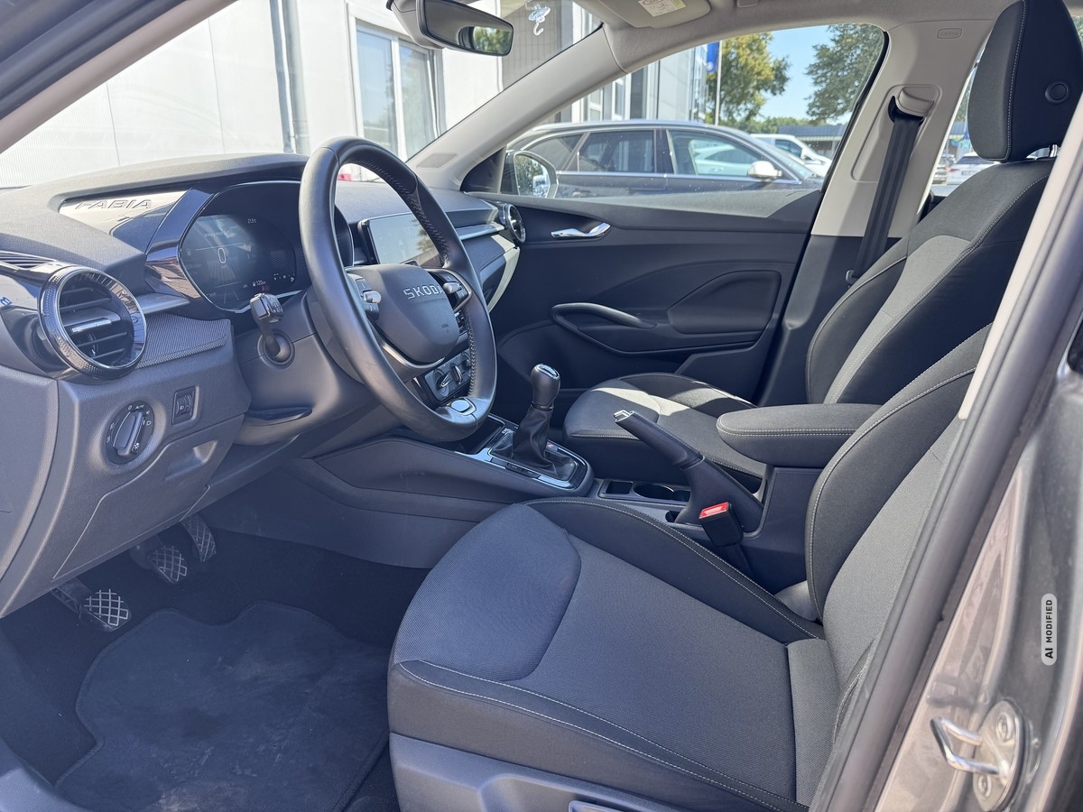 Skoda Fabia 1.0 TSI Selection*Kamera*SHZ*
