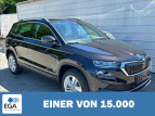 Bild Skoda Karoq 