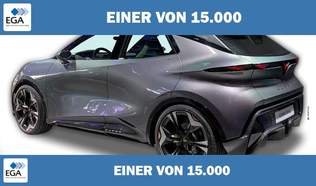 Cupra Raval + FÖRDERFÄHIG+5J GARANTIE+ACC+18