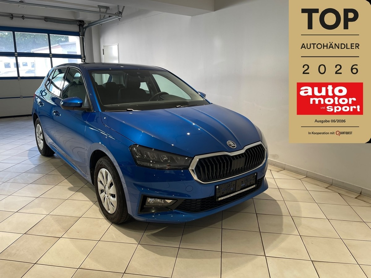 Skoda Fabia 1.0 MPI LED Klima SHZ PDC 5J Garantie
