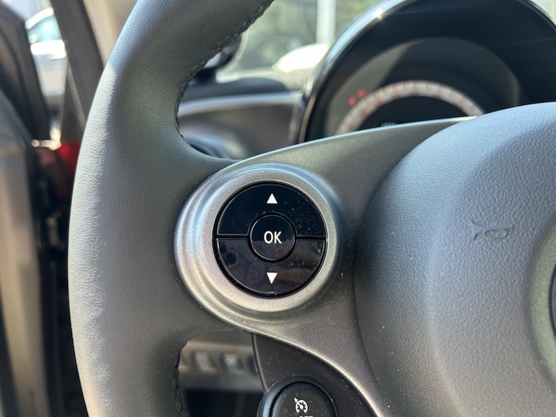 Smart ForTwo EQ EXCLUSIVE PANORAMA KLIMA*SHZG*SMART-LINK*R-CAM 