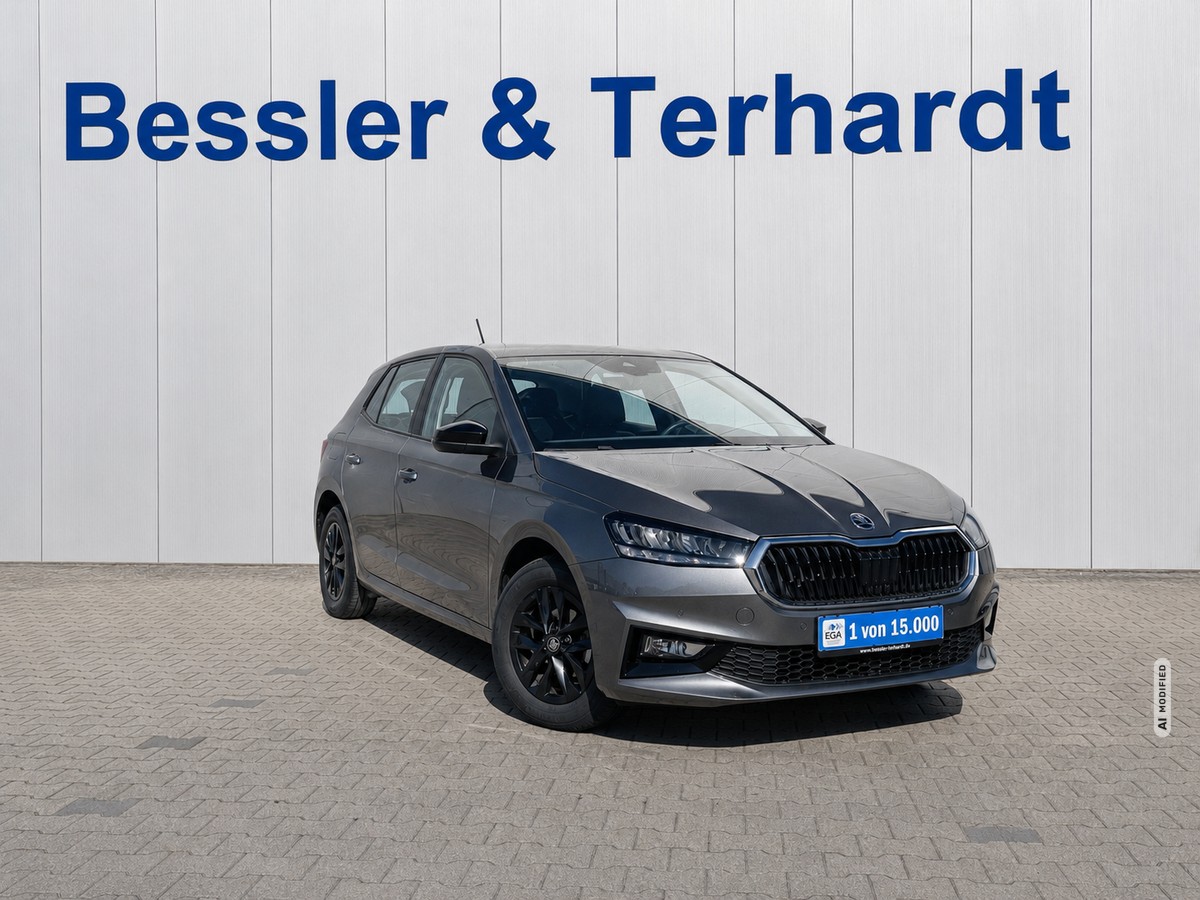 Skoda Fabia 1.0 TSI Selection*Kamera*SHZ*