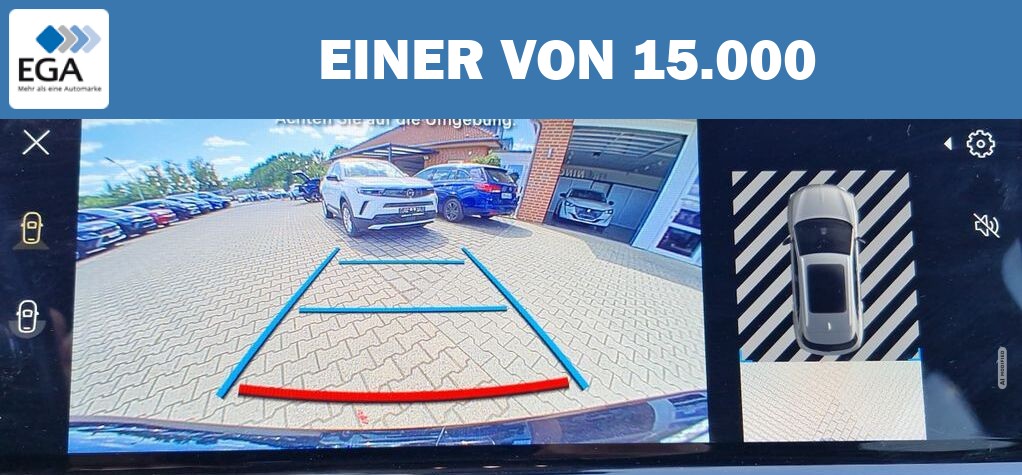 DS Automobiles Andere BlueHDI 130 AT Performance Line+ LED Navi Alcan