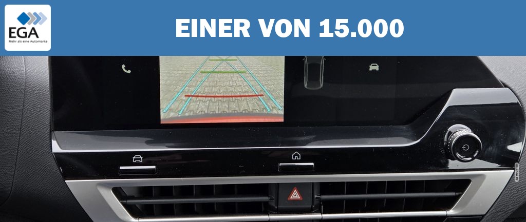 Citroën C4 PureTech 130 Plus AT LED Kamera PDC CarPlay A