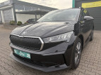 Bild Skoda Enyaq iV 80x Loft 77Kw Wämepumpe SHZ NAVI ACC 