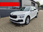 Bild Skoda Kamiq 