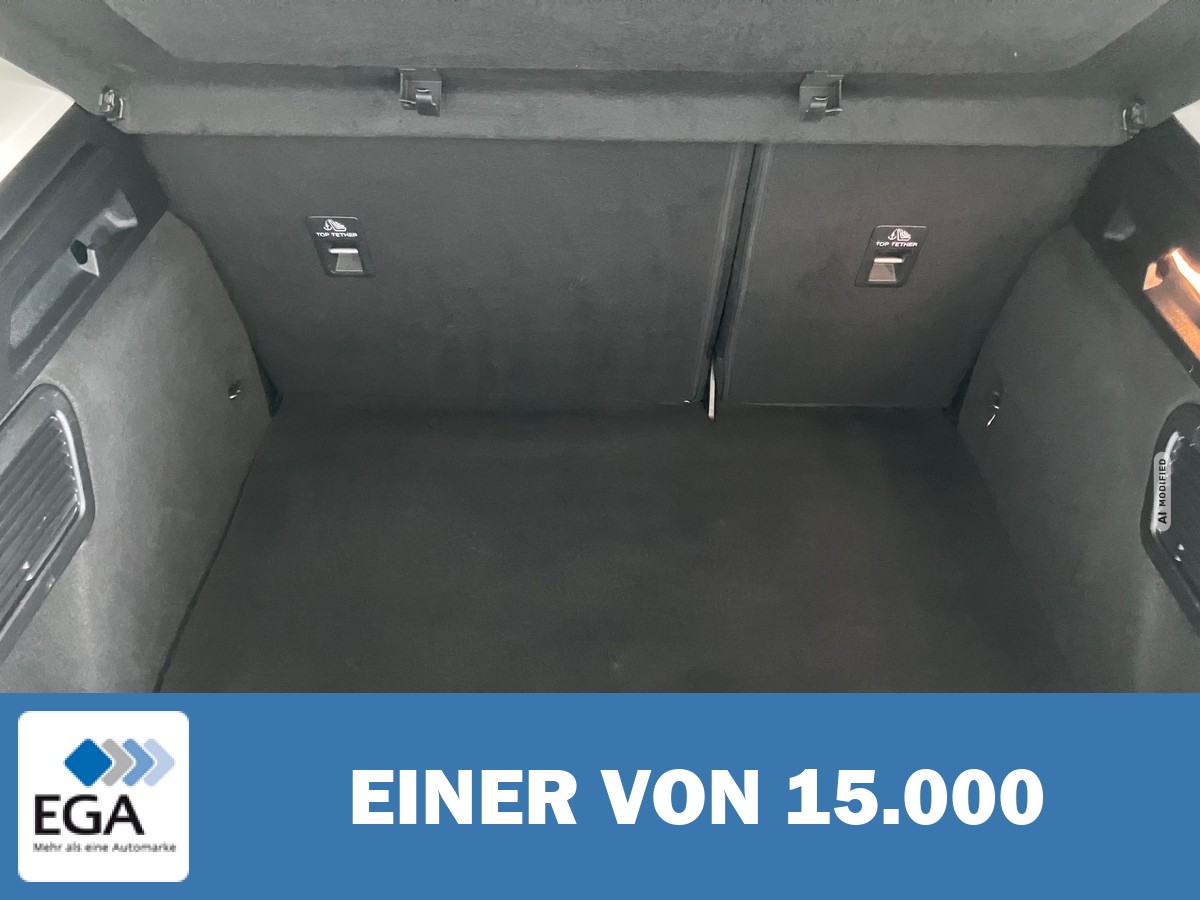 Ford Focus 1.0 EcoBoost Mild-Hybrid Active Automatik - Navi/ Sitz