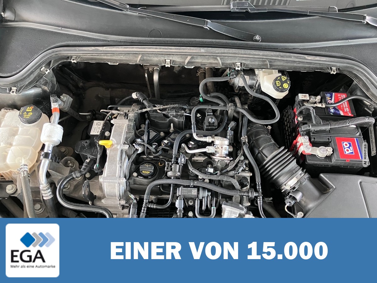 Ford Focus 1.0 EcoBoost Mild-Hybrid Active Automatik - Navi/ Sitz