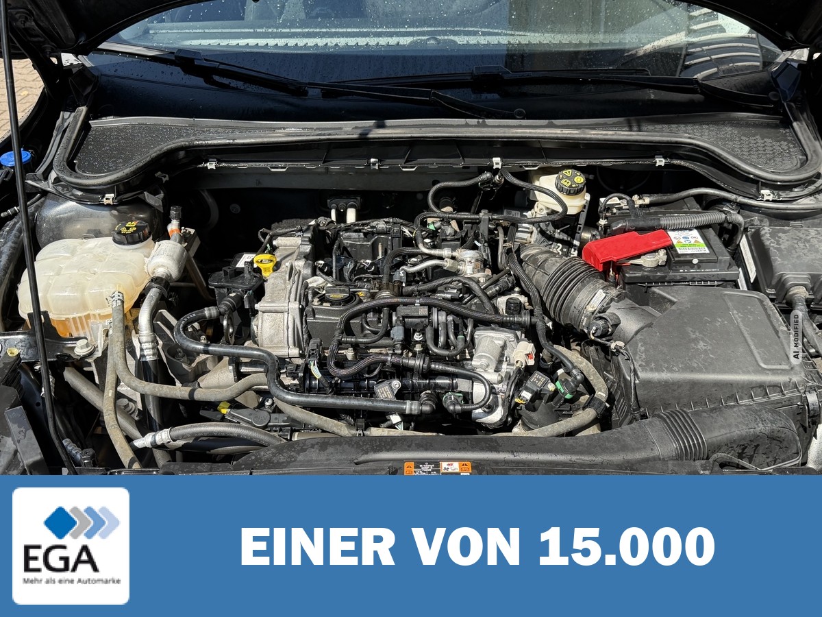 Ford Focus Turnier 1.0 EcoBoost Mild-Hybrid Automatik- Navi/ Sitz