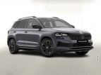 Bild Skoda Karoq DSG Sportl Pano Matrix Nav 360° Canton ACC