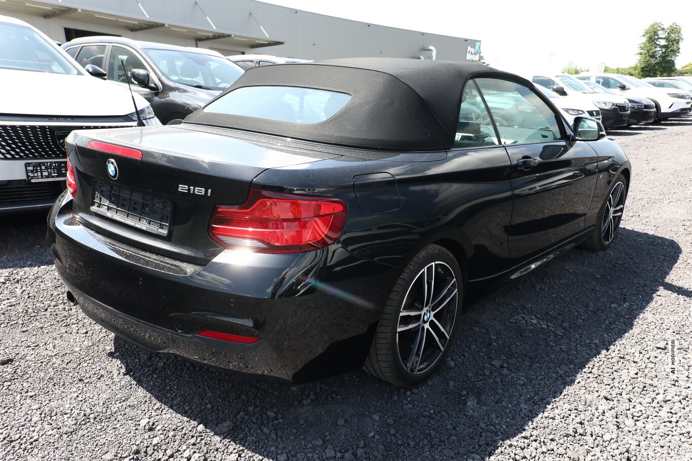 BMW 218 i Cabrio M Sport Leder Nav PDC SHZ LM18Z