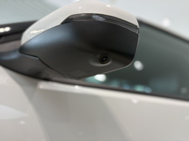 Kia EV3 Earth 81,4kWh P3-P8 AHK Business Upgrade Drive 19'' 