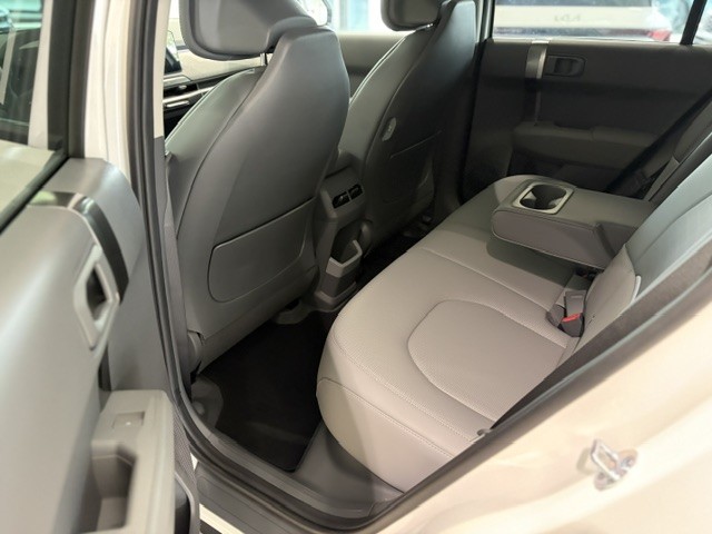 Kia EV3 Earth 81,4kWh P3-P8 AHK Business Upgrade Drive 19'' 