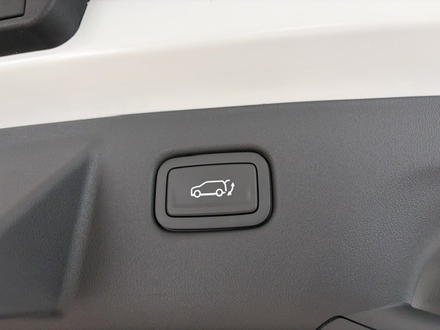 Kia EV3 Earth 81,4kWh P3-P8 AHK Business Upgrade Drive 19'' 