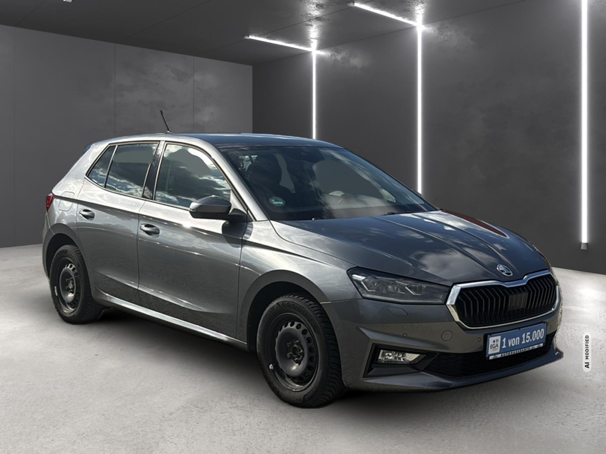 Skoda Fabia 1.0 TSI Ambition OPF *LED*SHZ*RFK*KLIMA