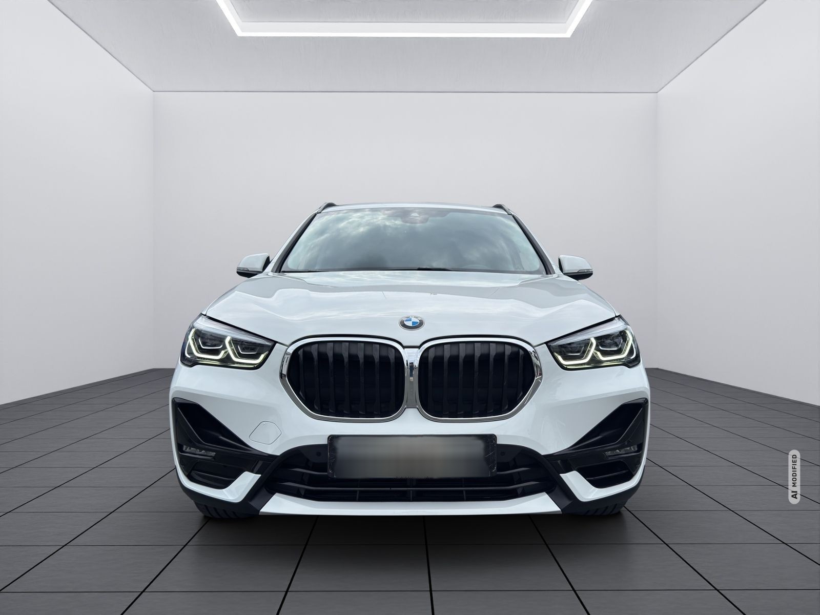 BMW X1 sDrive 20 i Aut. Sport Line/RFK/Einparkh. v+h