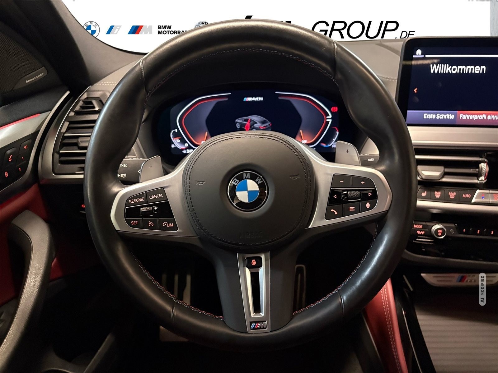 BMW X4 HEAD-UP H&K HIFI AHK STANDHZG. ALU 21