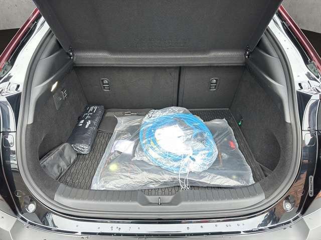 Mazda MX-30 EDITION R ++GSD+Matrix-LED+BOSE++