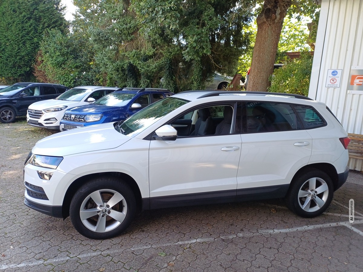 Skoda Karoq 1.0 TSI AMBITION DSG GREEN-TEC ALU KLIMA LED TEMPO PDC