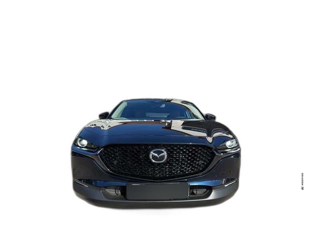 Mazda CX-30 NAGISA ++Bose+Teilleder++