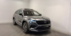 Bild Skoda Kodiaq RS 2.0TSI DSG 4x4 Pano Columbus Canton