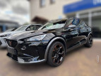 Bild Cupra Formentor VZ e-Hybrid*KAMERA*19