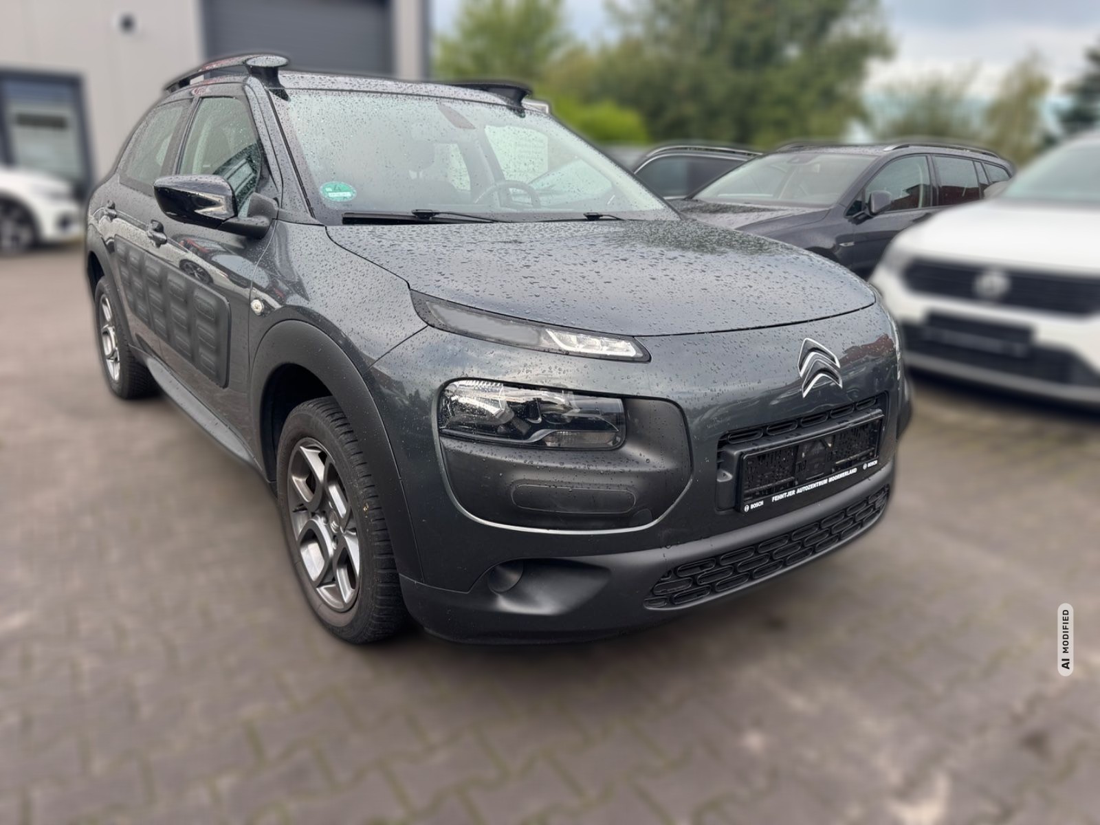 Citroën C4 Cactus C4Cactus Feel Klima Temp Autom DAB PDC Euro6 Top